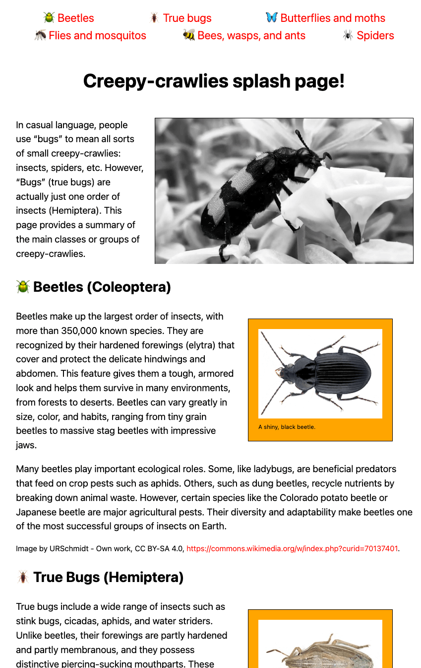 スプラッシュページの例